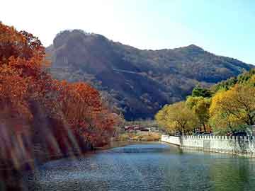 新澳天天开奖资料大全旅游团，都市异能排行榜